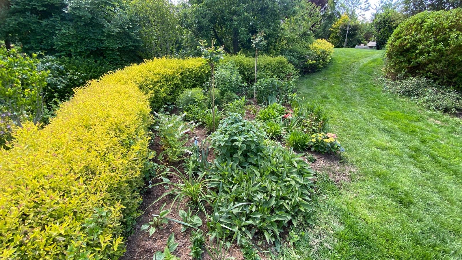 Údržba trávníku a sekání – Zahrady Véra