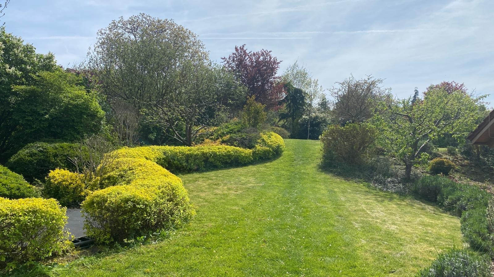 Údržba stromů a keřů – Zahrady Véra