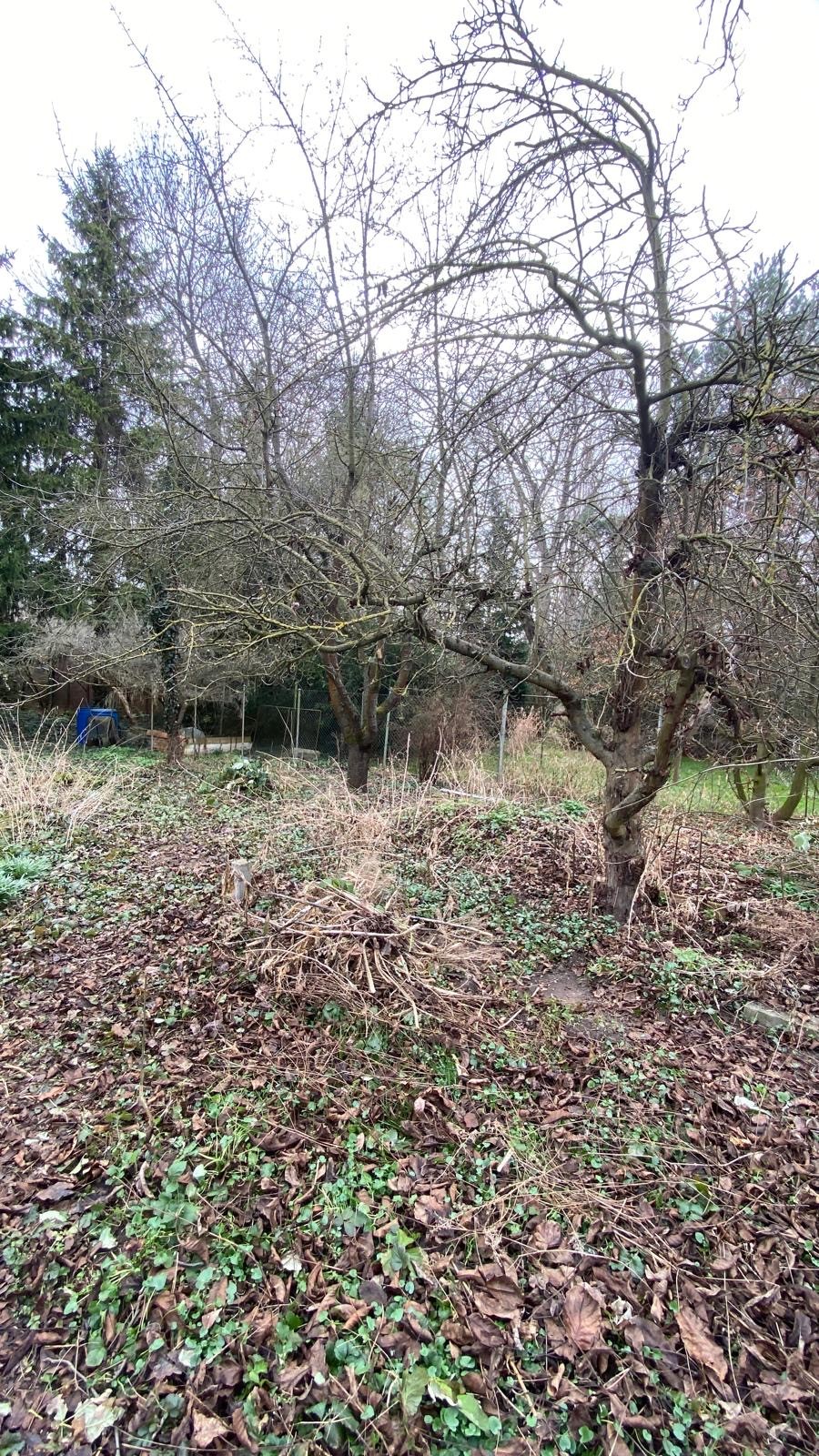 Zahradní okrasná plocha s keři – Zahrady Véra