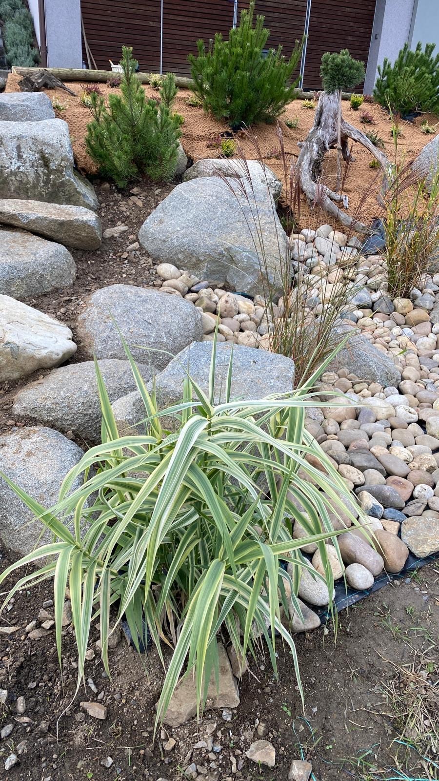 Realizace trávníku s květinami – Zahrady Véra