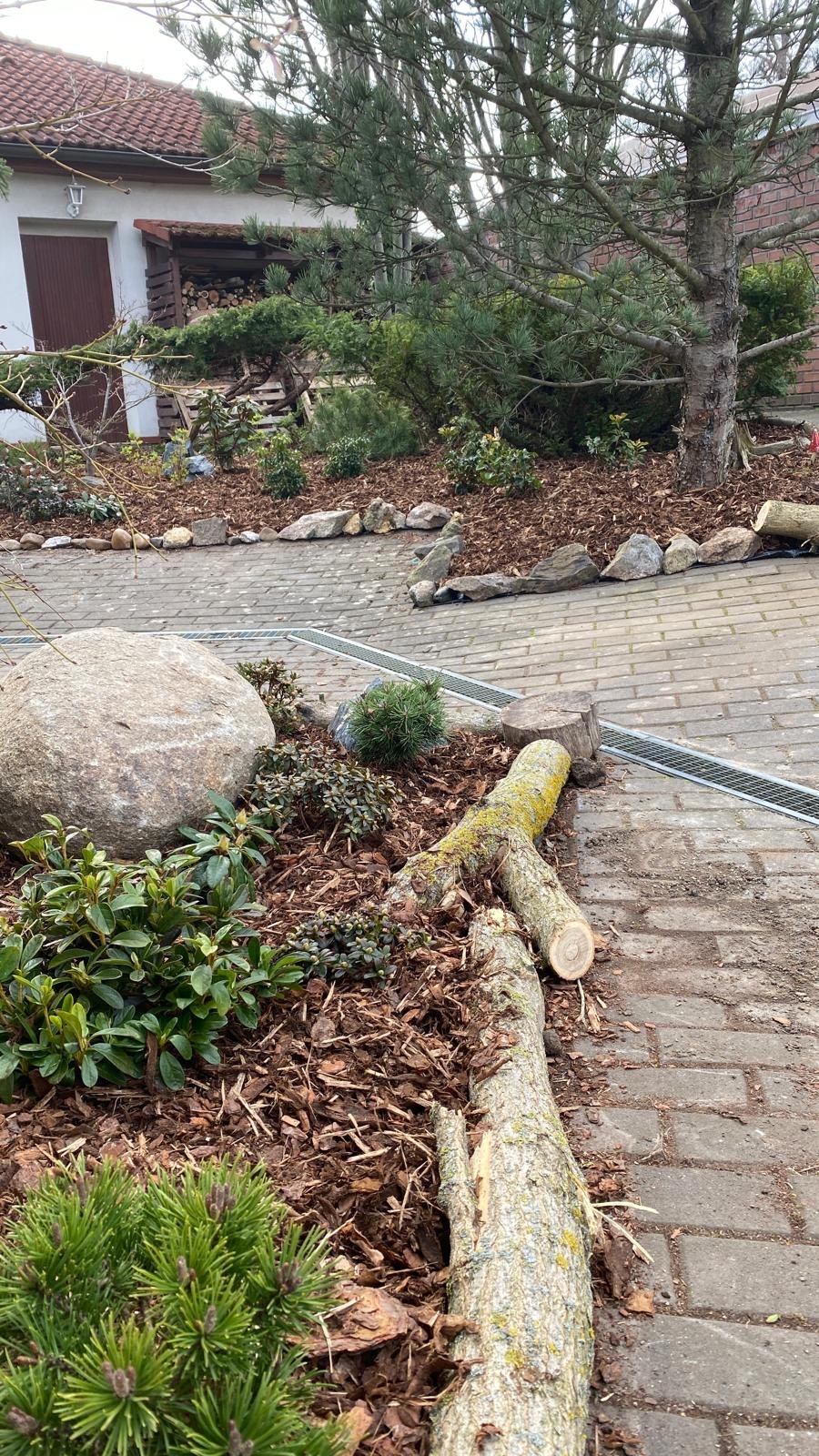 Moderní zahradní design s keři – Zahrady Véra